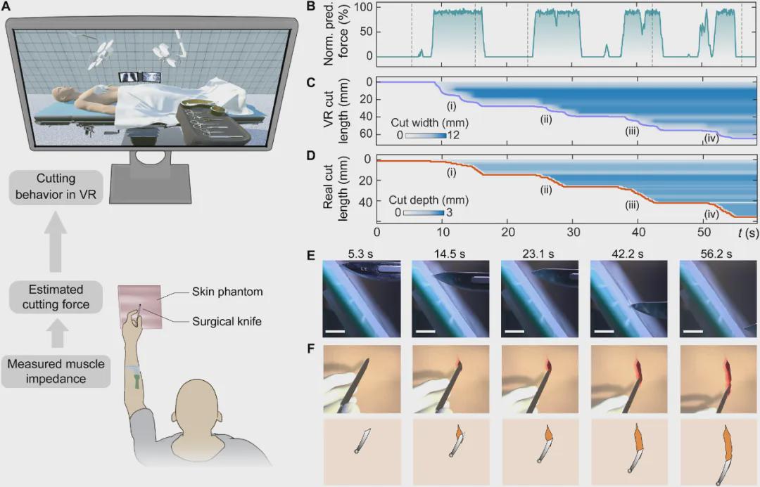 Science Advances发表！南洋理工大学推出头发丝薄度传感器FMEIS，让机器秒懂肌肉「微表情」(图8)